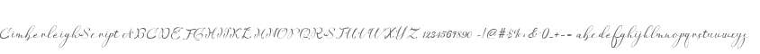 Cimberleigh Script
