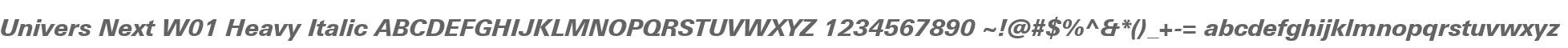 Univers Next W01 Heavy Italic