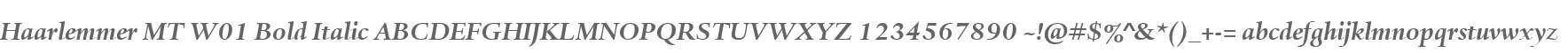 Haarlemmer MT W01 Bold Italic