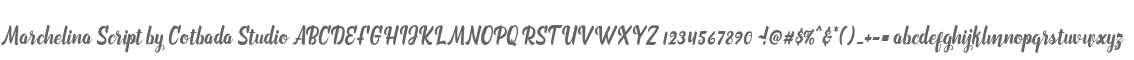 Marchelina Script by Cotbada Studio
