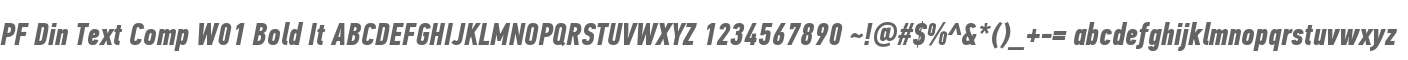 PF Din Text Comp W01 Bold It