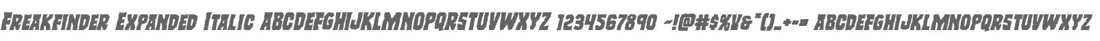 Freakfinder Expanded Italic