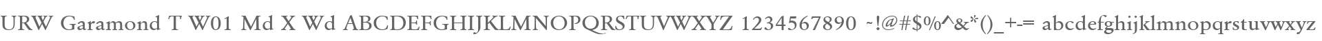 URW Garamond T W01 Md X Wd