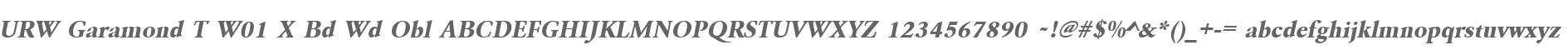 URW Garamond T W01 X Bd Wd Obl