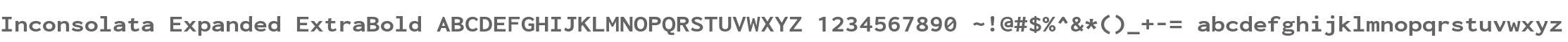 Inconsolata Expanded ExtraBold