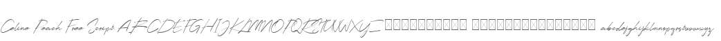 Celine Peach Free Script