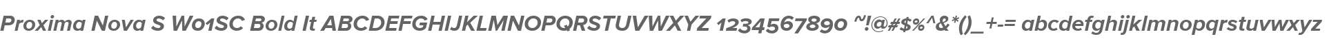 Proxima Nova S W01SC Bold It