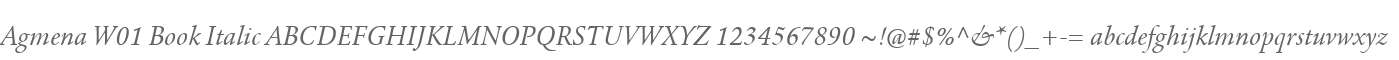 Agmena W01 Book Italic