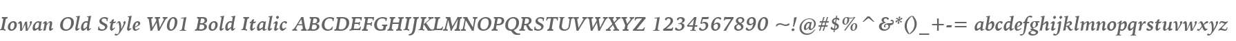 Iowan Old Style W01 Bold Italic