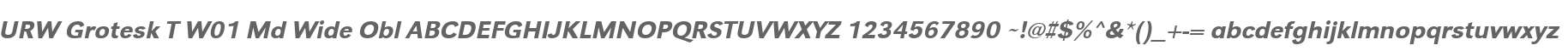 URW Grotesk T W01 Md Wide Obl