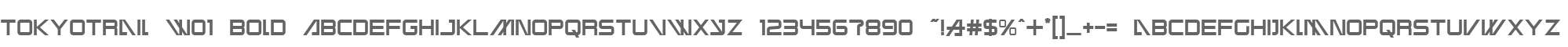 Tokyotrail W01 Bold