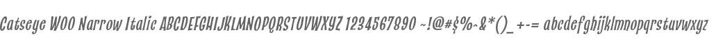 Catseye W00 Narrow Italic