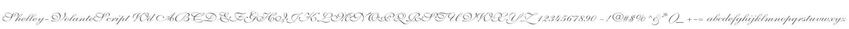 Shelley-VolanteScript Wd