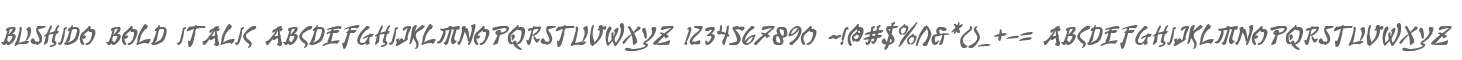 Bushido Bold Italic