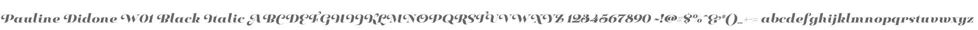 Pauline Didone W01 Black Italic