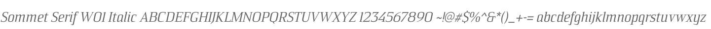 Sommet Serif W01 Italic