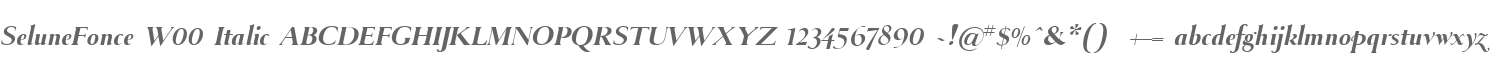 SeluneFonce W00 Italic