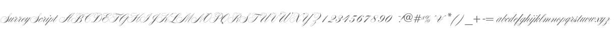 SurreyScript