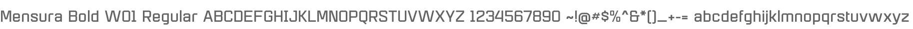 Mensura Bold W01 Regular