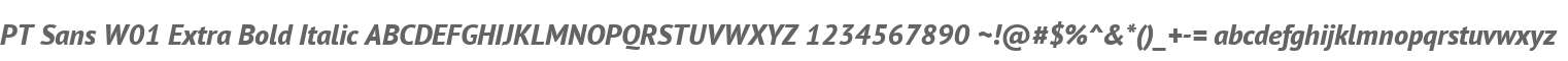 PT Sans W01 Extra Bold Italic
