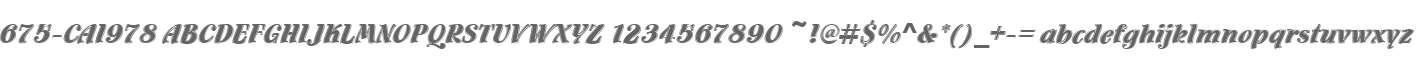 675-CAI978