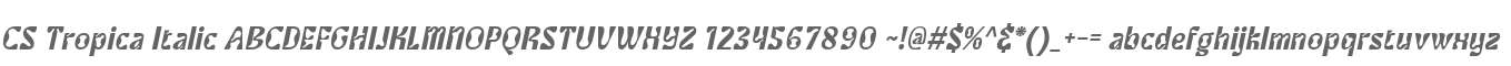 CS Tropica Italic
