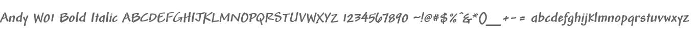 Andy W01 Bold Italic