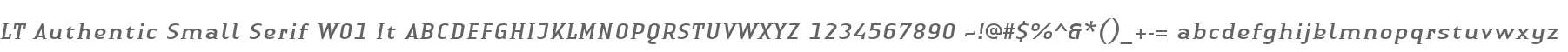 LT Authentic Small Serif W01 It