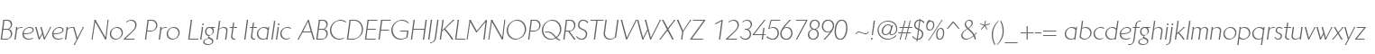 Brewery No2 Pro Light Italic
