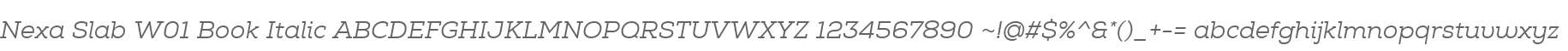 Nexa Slab W01 Book Italic