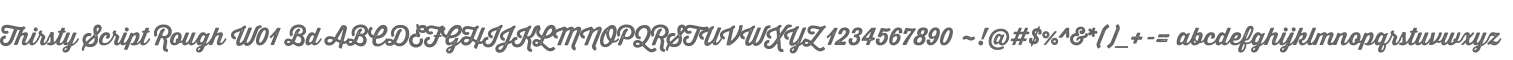 Thirsty Script Rough W01 Bd