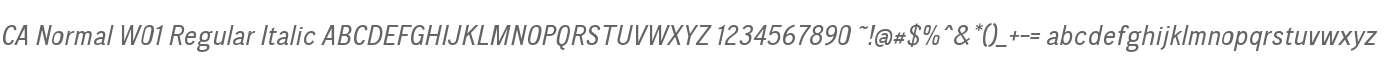 CA Normal W01 Regular Italic