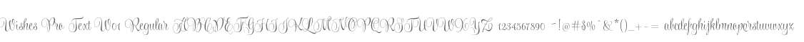 Wishes Pro Text W01 Regular