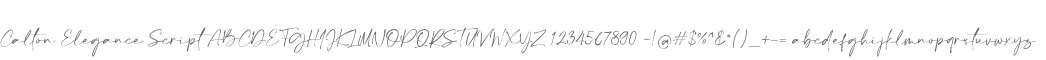 Calton Elegance Script