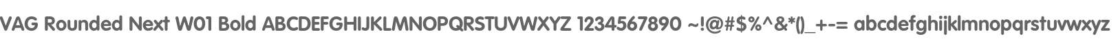 VAG Rounded Next W01 Bold