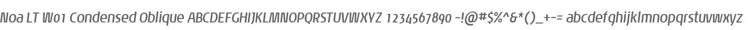 Noa LT W01 Condensed Oblique
