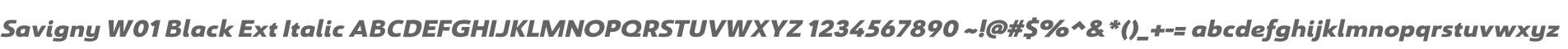 Savigny W01 Black Ext Italic