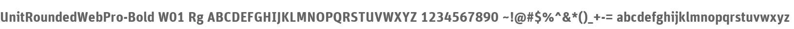 UnitRoundedWebPro-Bold W01 Rg
