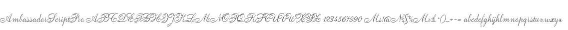 AmbassadorScriptPro