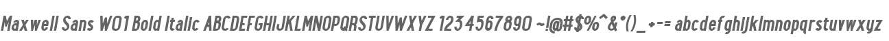 Maxwell Sans W01 Bold Italic