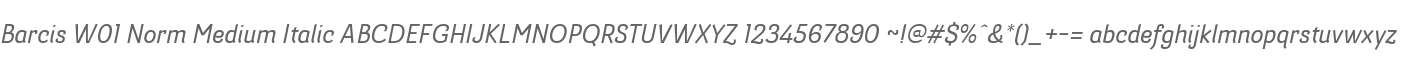Barcis W01 Norm Medium Italic