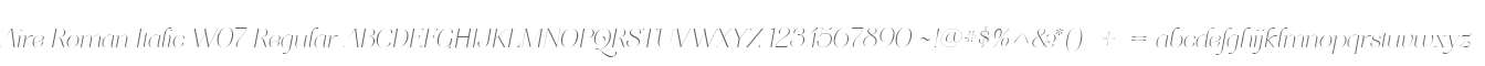 Aire Roman Italic W07 Regular