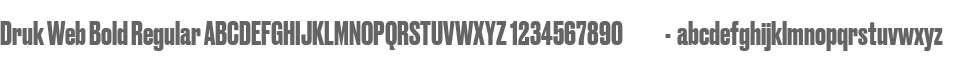 Druk Web Bold Regular