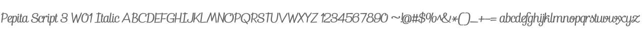 Pepita Script 3 W01 Italic