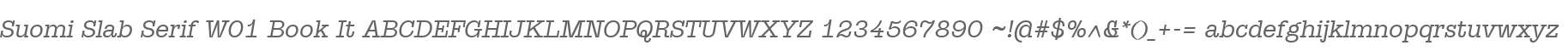 Suomi Slab Serif W01 Book It