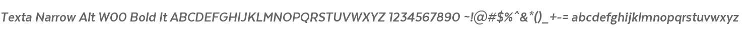 Texta Narrow Alt W00 Bold It