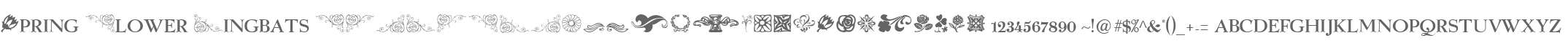 Spring Flower Dingbats