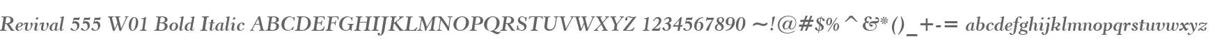 Revival 555 W01 Bold Italic