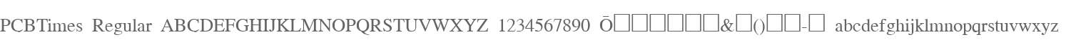 PCBTimes Regular