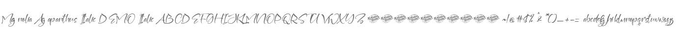 Magnolia Agapanthus Italic DEMO